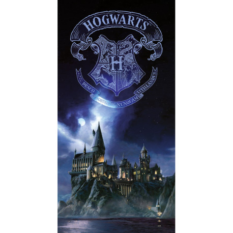 Póster de Vidrio Harry Potter: Un Regalo de Colección Imprescindible