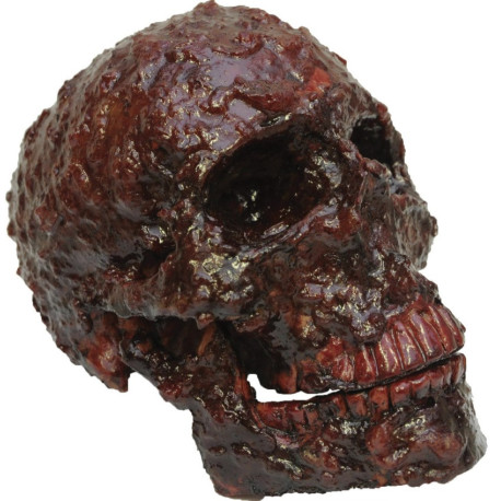 Artículo Decorativo Calavera Cubierta De Costras De Sangre 13 Cm