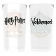 Set Glasses Large glass Harry Potter Gryffindor and Slytherin