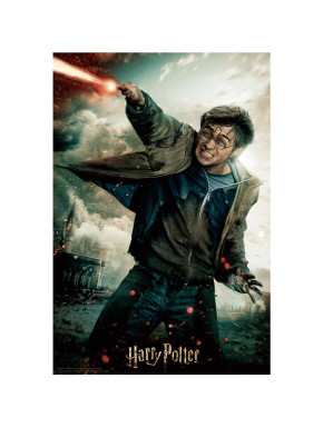 Puzzle-Libro Lenticular Harry Potter Batalla