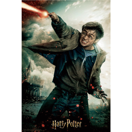 Puzzle-Libro Lenticular Harry Potter Batalla