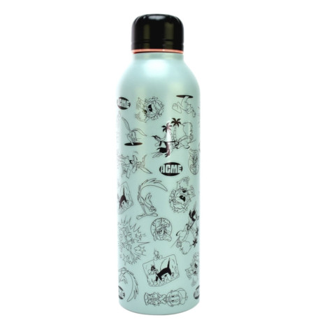 Botella De Agua Personajes Looney Tunes 750 Ml. Acero