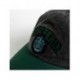 GORRA VISERA CURVA ADULTO HARRY POTTER SLYTHERIN