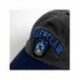 GORRA VISERA CURVA ADULTO HARRY POTTER RAVENCLAW