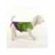 CAMISETA PARA PERRO SINGLE JERSEY AVENGERS HULK