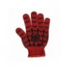 GLOVE BRUSH PETS SPIDERMAN