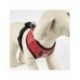ARNÉS PARA PERROS XS MINNIE