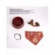 PET SET WELCOME HARRY POTTER