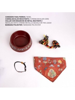 SET PARA MASCOTAS BIENVENIDA HARRY POTTER