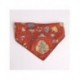 SET PARA MASCOTAS BIENVENIDA HARRY POTTER