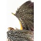 Figura Nergigante 76cm Monster Hunter World