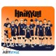 Alfombrilla Karasuno Team HAIKYU!!