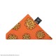 One Piece Bandana & Berry Coins Nami