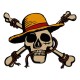 Medallón Jolly Roger Limited Edition One Piece