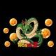 Estuche neceser Dragon Ball Shenron