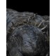 El Señor de los Anillos Estatua Cave Troll 16 cm