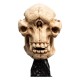El Señor de los Anillos Estatua Skull of a Cave Troll 21 cm