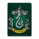 Harry Potter Placa de Chapa Slytherin 15 x 21 cm