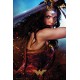 Póster Wonder Woman Defend