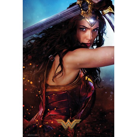 Póster Wonder Woman Defend