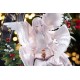 Illustration Revelation Estatua PVC Bell of the Holy Night 30 cm