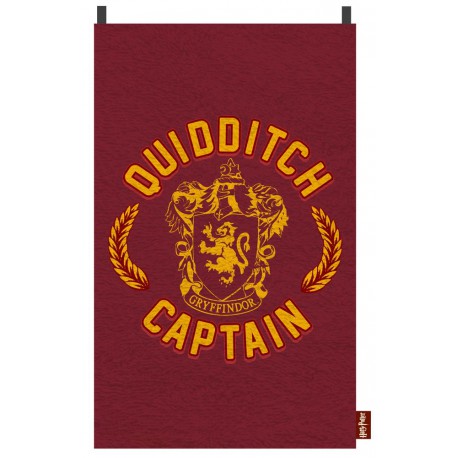 Toalla y capa Harry Potter Quidditch