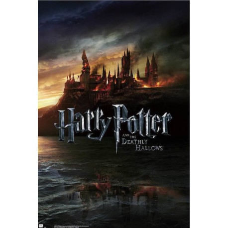 Poster Harry Potter Reliquias