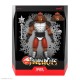 ThunderCats: Los felinos cósmicos Figura Ultimates Wave 9 Grune The Destroyer (Toy Recolor) 20 cm