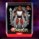 ThunderCats: Los felinos cósmicos Figura Ultimates Wave 9 Grune The Destroyer (Toy Recolor) 20 cm