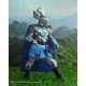 Dungeons & Dragons Figura 50th Anniversary Strongheart 18 cm
