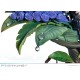 Odin Sphere Estatua PVC 1/7 Prisma Wing Leifthrasir Gwendolyn 24 cm