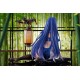 Girls Frontline Estatua PVC 1/6 DP-12: Echeveria Lantern 13 cm