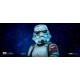 Star Wars Ahsoka Estatua 1/10 Art Scale Night Trooper 21 cm