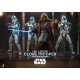 Star Wars: Obi-Wan Kenobi Figura 1/6 501st Legion Clone Trooper 30 cm