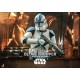 Star Wars: Obi-Wan Kenobi Figura 1/6 501st Legion Clone Trooper 30 cm