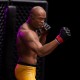 UFC Estatua 1/10 Deluxe Art Scale Anderson 