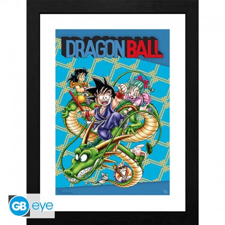 Dragon Ball Poster Enmarcado Cover 30X40Cm