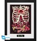 Rick And Morty Poster Enmarcado Anatomy Park 30X40Cm