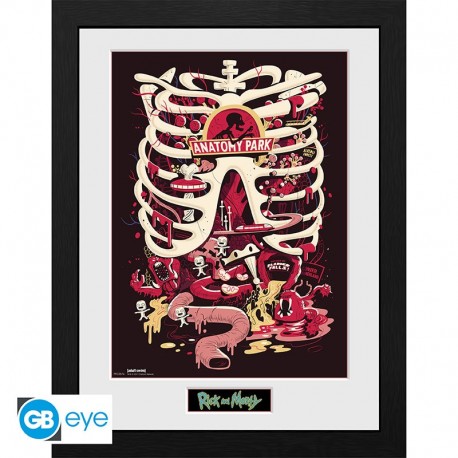 Rick And Morty Poster Enmarcado Anatomy Park 30X40Cm