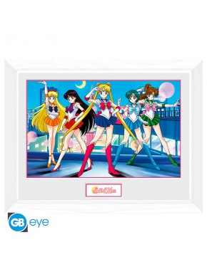 Sailor Moon Poster Enmarcado Group 30X40Cm (White Frame)