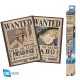 Ensemble de Posters Chibi One Piece : Wanted Sabo & Ace