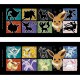 Pokemon Taza Térmica 460 Ml Evee