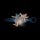 Assassin'S Creed E Estuche Assassins Mirage