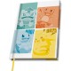Pokemon A5 Cuaderno Kanto Starters  