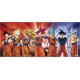 Dragon Ball Super Taza 320Ml Goku Transformations