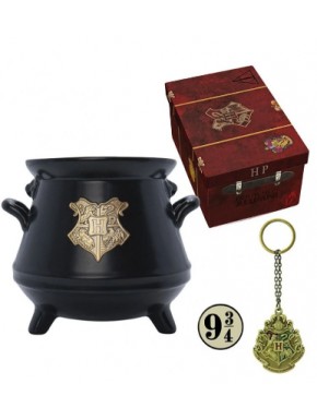 Set Regalo Taza 3D Llavero Y Pin Harry Potter
