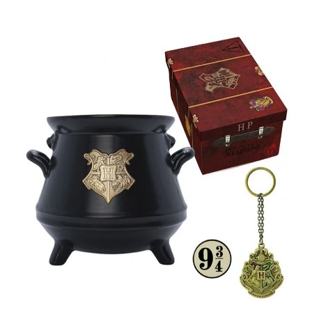 Set Regalo Taza 3D Llavero Y Pin Harry Potter