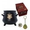 Set Regalo Taza 3D Llavero Y Pin Harry Potter