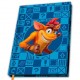 Crash Bandicoot A5 Cuaderno Crash & Coco