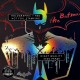 Póster de coleccionista - WHO IS THE BATMAN ? - Batman